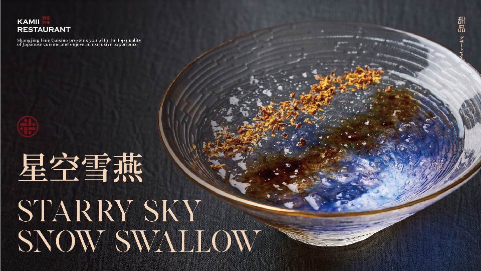 星空雪燕